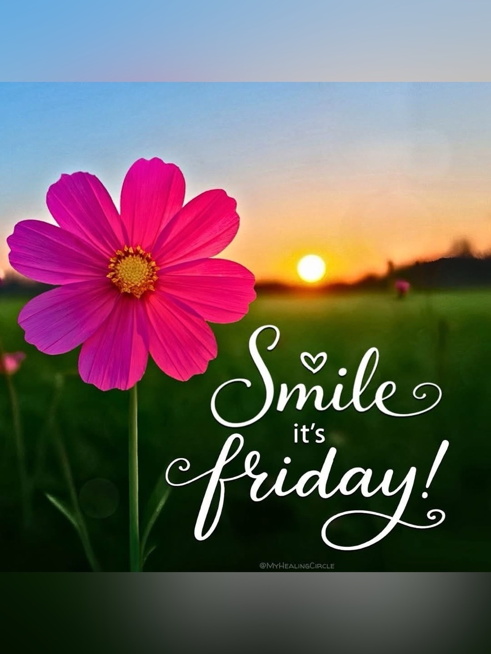 🩷 ✨ Happy Friday Darlings ✨🩷